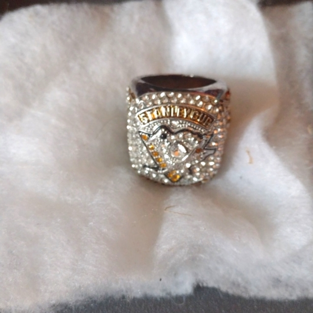 2017 Stanley Cup Ring
